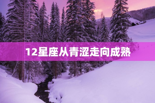 12星座从青涩走向成熟