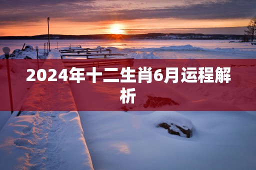 2025年十二生肖6月运程解析