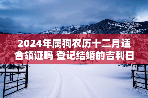 2025年属狗农历十二月适合领证吗 登记结婚的吉利日子