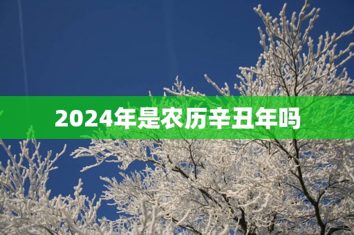 2025年是农历辛丑年吗