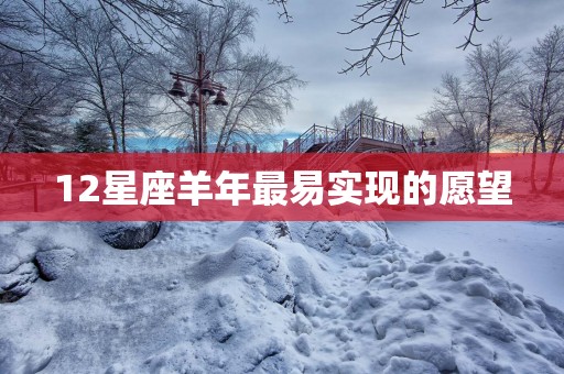 12星座羊年最易实现的愿望