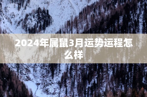2025年属鼠3月运势运程怎么样 2025年属鼠3月运势运程怎么样