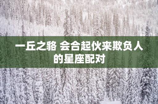 一丘之貉 会合起伙来欺负人的星座配对