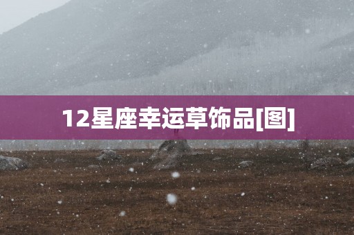 12星座幸运草饰品[图]
