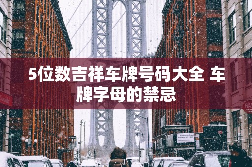 5位数吉祥车牌号码大全 车牌字母的禁忌