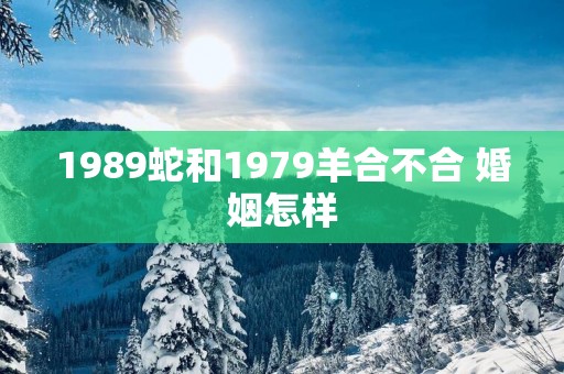 1989蛇和1979羊合不合 婚姻怎样