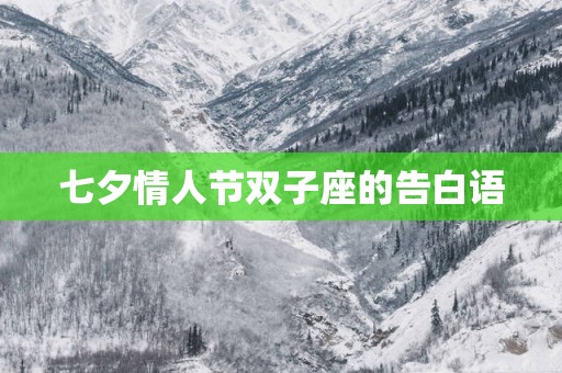 七夕情人节双子座的告白语