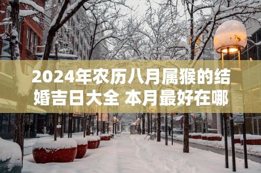 2025年农历八月属猴的结婚吉日大全 本月最好在哪天办喜事