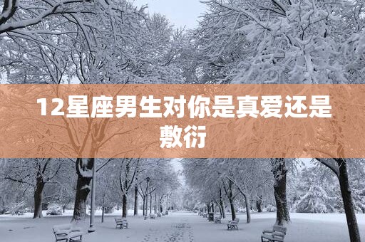 12星座男生对你是真爱还是敷衍