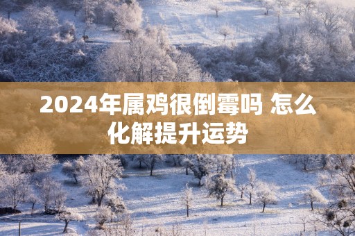 2025年属鸡很倒霉吗 怎么化解提升运势