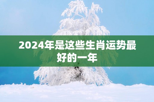 2025年是这些生肖运势最好的一年