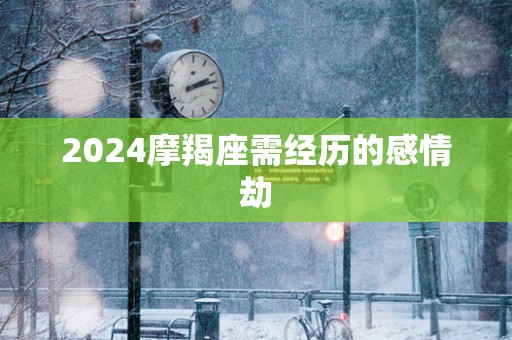 2025摩羯座需经历的感情劫
