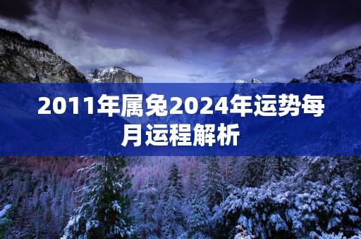 2011年属兔2025年运势每月运程解析