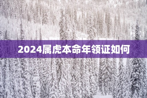 2025属虎本命年领证如何