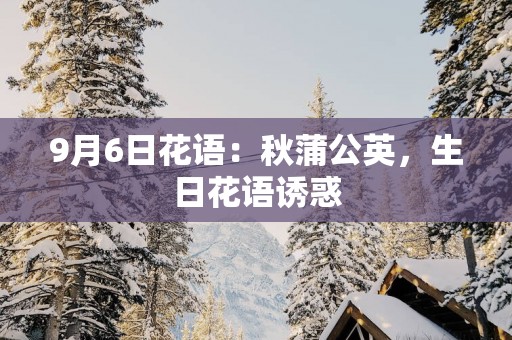 9月6日花语：秋蒲公英，生日花语诱惑