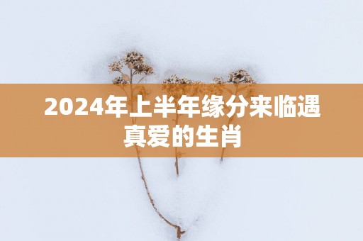 2025年上半年缘分来临遇真爱的生肖