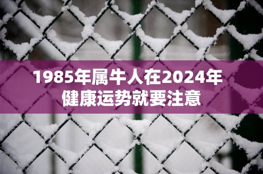 1985年属牛人在2025年  健康运势就要注意