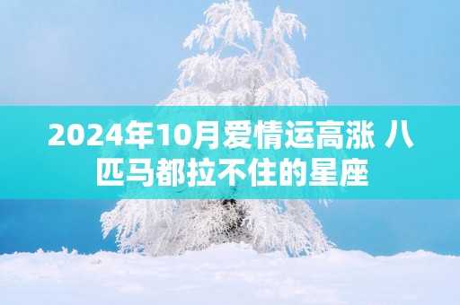 2025年10月爱情运高涨 八匹马都拉不住的星座