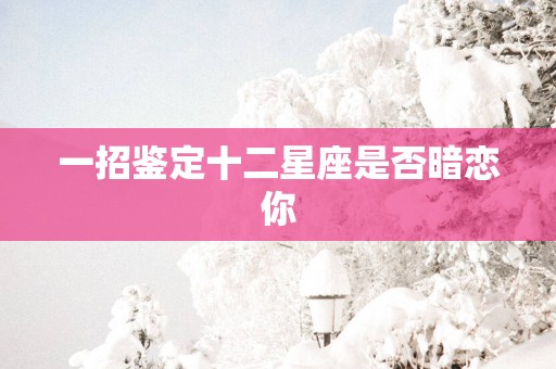 一招鉴定十二星座是否暗恋你