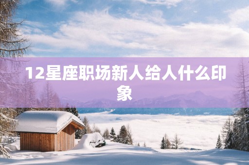 12星座职场新人给人什么印象