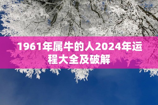 1961年属牛的人2025年运程大全及破解