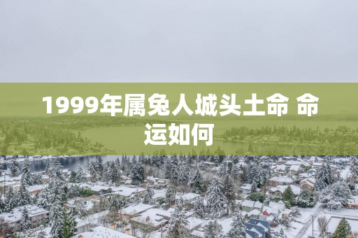 1999年属兔人城头土命 命运如何