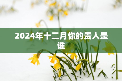 2025年十二月你的贵人是谁