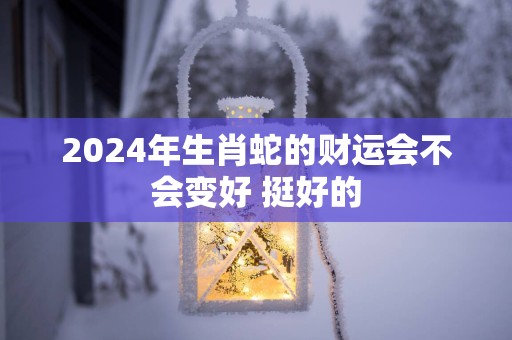 2025年生肖蛇的财运会不会变好 挺好的