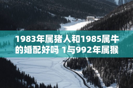 1983年属猪人和1985属牛的婚配好吗 1与992年属猴相合吗