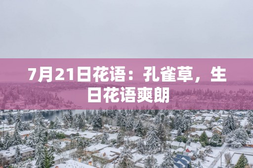 7月21日花语：孔雀草，生日花语爽朗