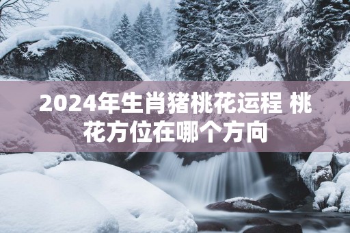 2025年生肖猪桃花运程 桃花方位在哪个方向