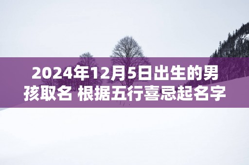2025年12月5日出生的男孩取名 根据五行喜忌起名字