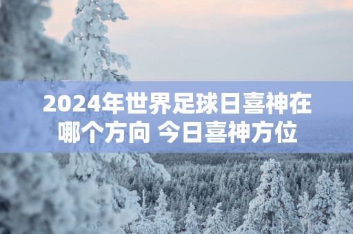 2025年世界足球日喜神在哪个方向 今日喜神方位