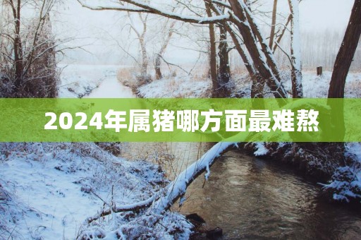 2025年属猪哪方面最难熬