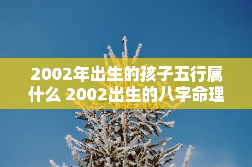 2002年出生的孩子五行属什么 2002出生的八字命理