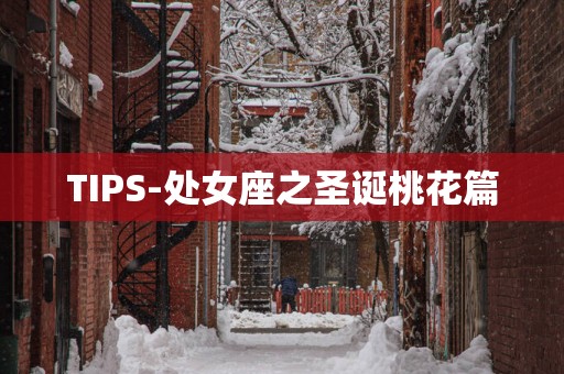TIPS-处女座之圣诞桃花篇