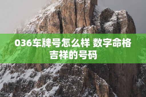 036车牌号怎么样 数字命格吉祥的号码