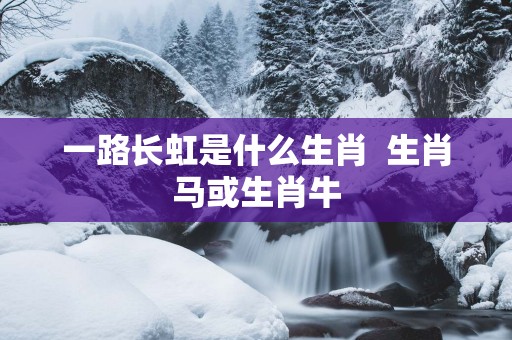 一路长虹是什么生肖  生肖马或生肖牛