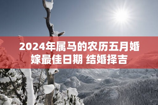 2025年属马的农历五月婚嫁最佳日期 结婚择吉