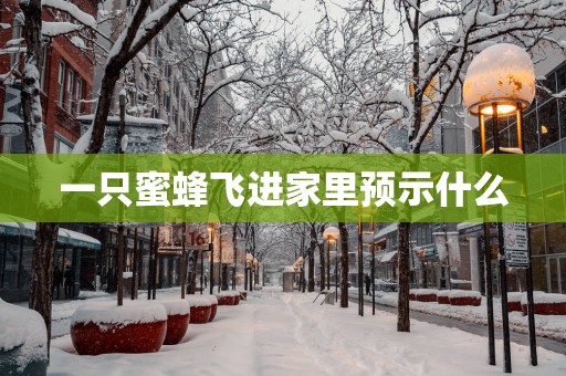 一只蜜蜂飞进家里预示什么