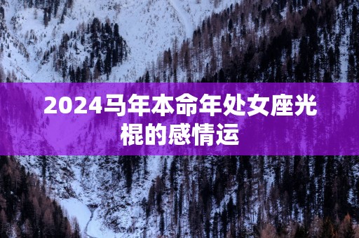 2025马年本命年处女座光棍的感情运