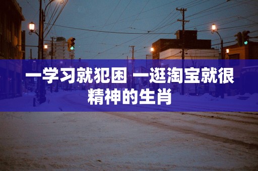 一学习就犯困 一逛淘宝就很精神的生肖