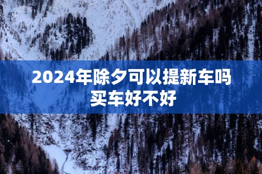 2025年除夕可以提新车吗 买车好不好
