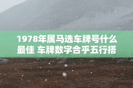 1978年属马选车牌号什么最佳 车牌数字合乎五行搭配