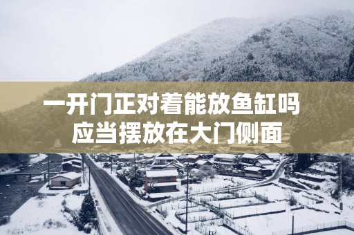 一开门正对着能放鱼缸吗  应当摆放在大门侧面