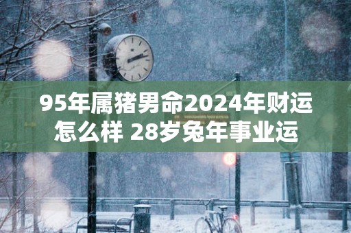 95年属猪男命2025年财运怎么样 28岁蛇年事业运