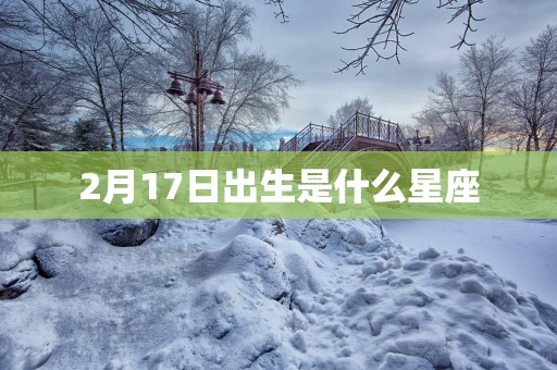2月17日出生是什么星座