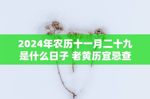 2025年农历十一月二十九是什么日子 老黄历宜忌查询