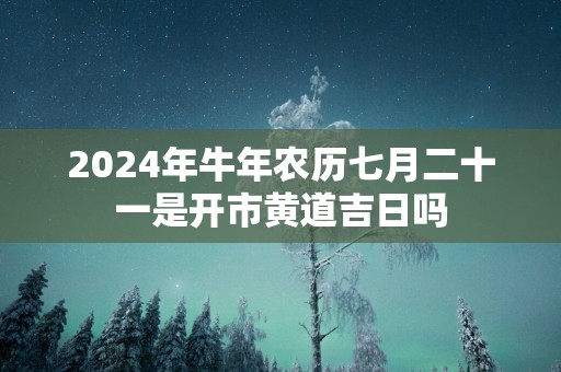 2025年蛇年农历七月二十一是开市黄道吉日吗