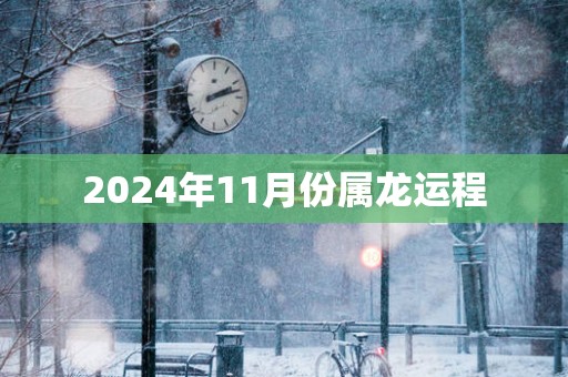 2025年11月份属龙运程